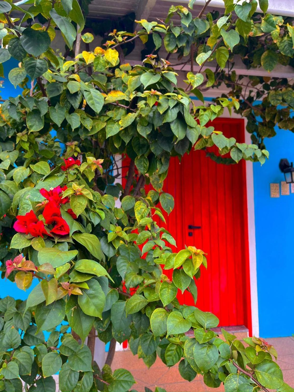 Pequi Hostel Florianópolis Buitenkant foto